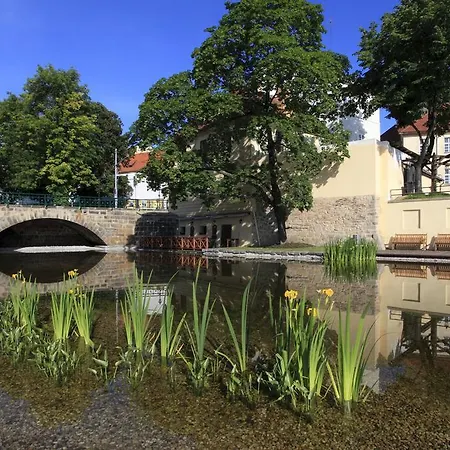 U Zvonu